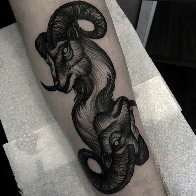 Вип Шейдинг (Whip Shading) фото 4 Вип Шейдинг (Whip Shading) фото 4